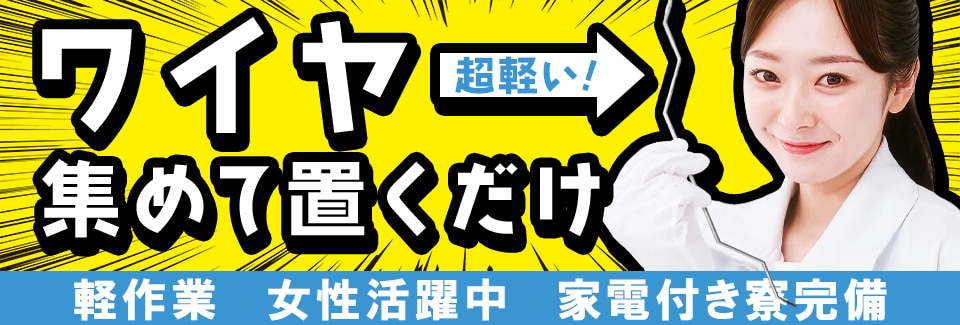 高浜市ワイヤーの加工の派遣社員
